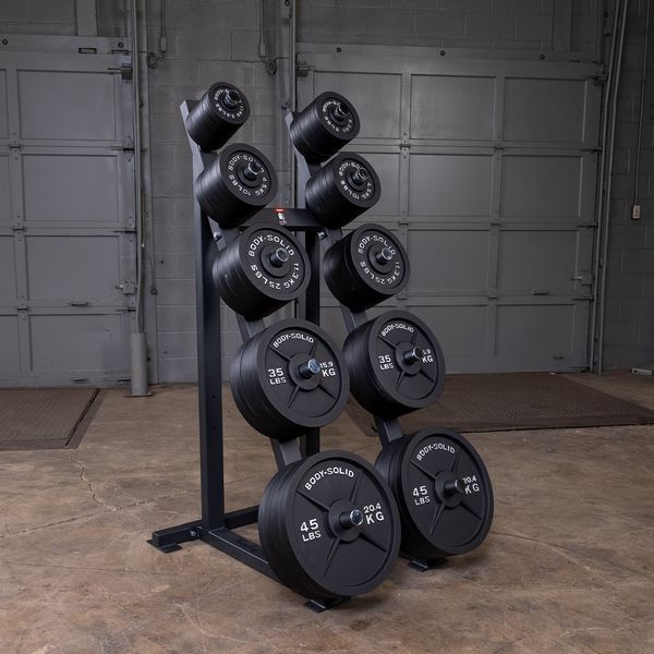 High Capacity Weight Plate Rack
