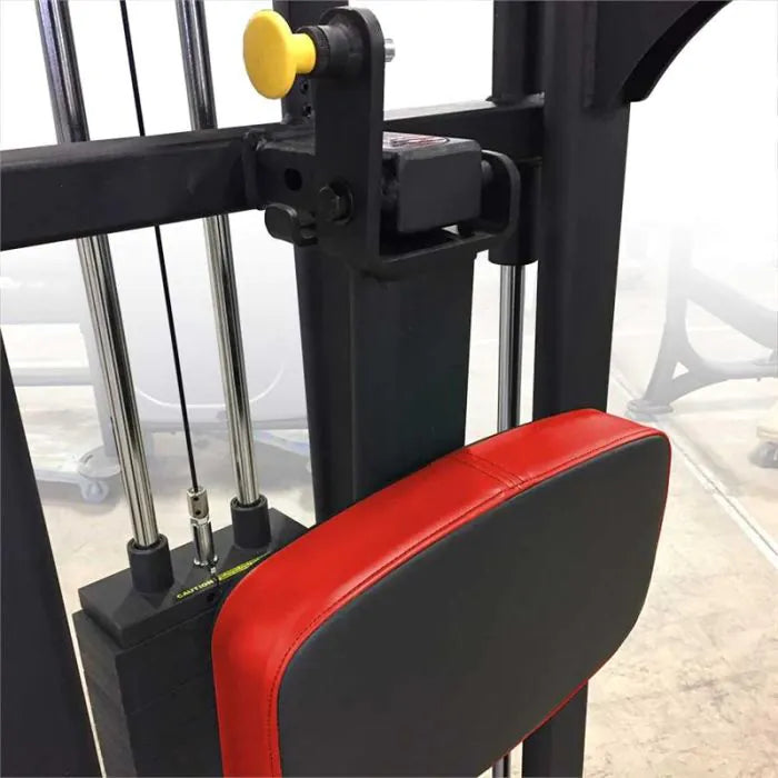 SelectEDGE Dip / Chin Assist 1122 Legend
