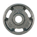 Troy VTX 10 lb Cast Iron Olympic Grip Plate - GO-V