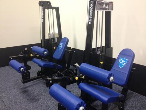 Leg Extension - Leg Curl Combo - 918 Legend